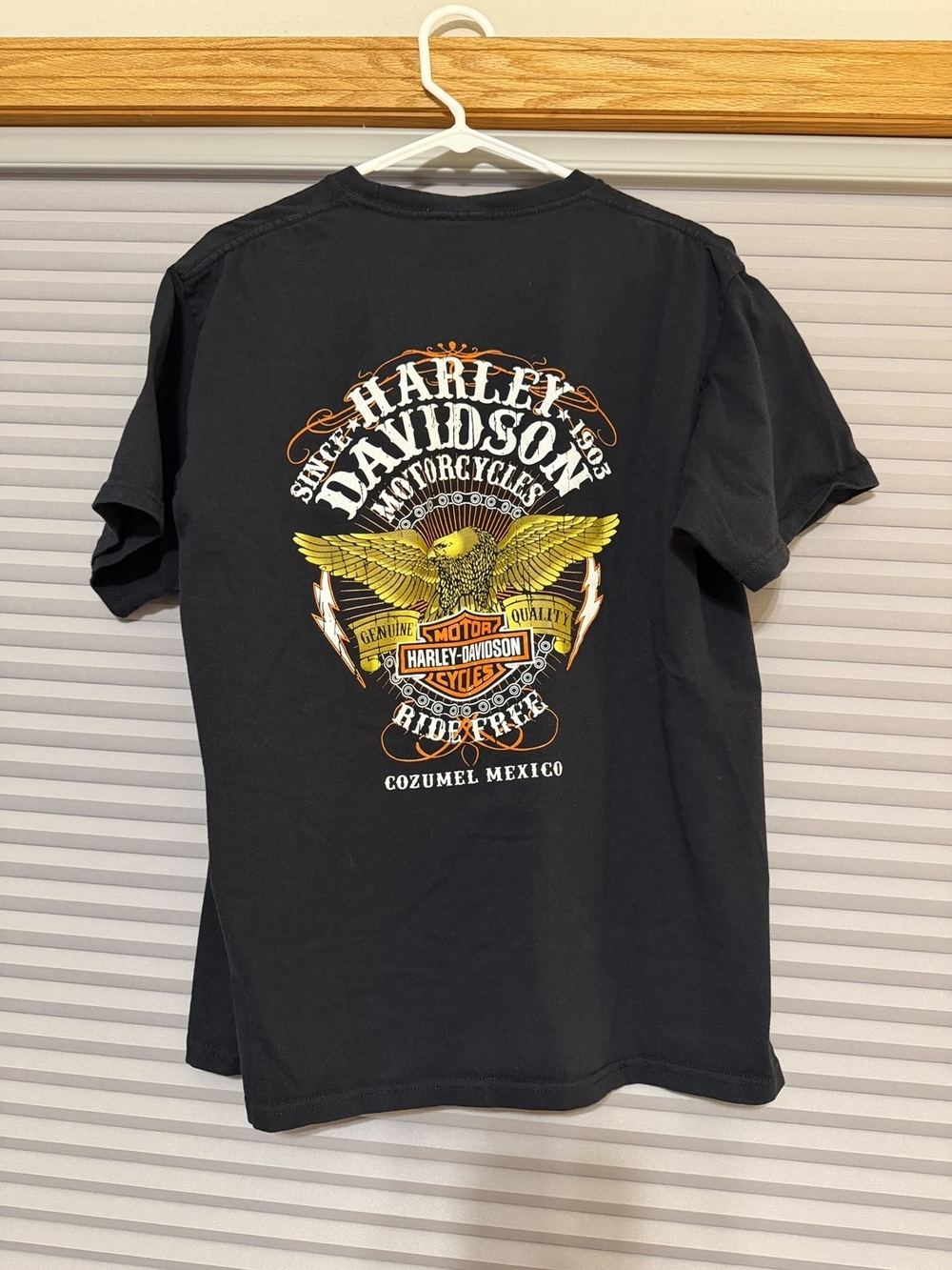 Harley-Davidson Black T-Shirt with Yellow & Orange Eagle Graphic